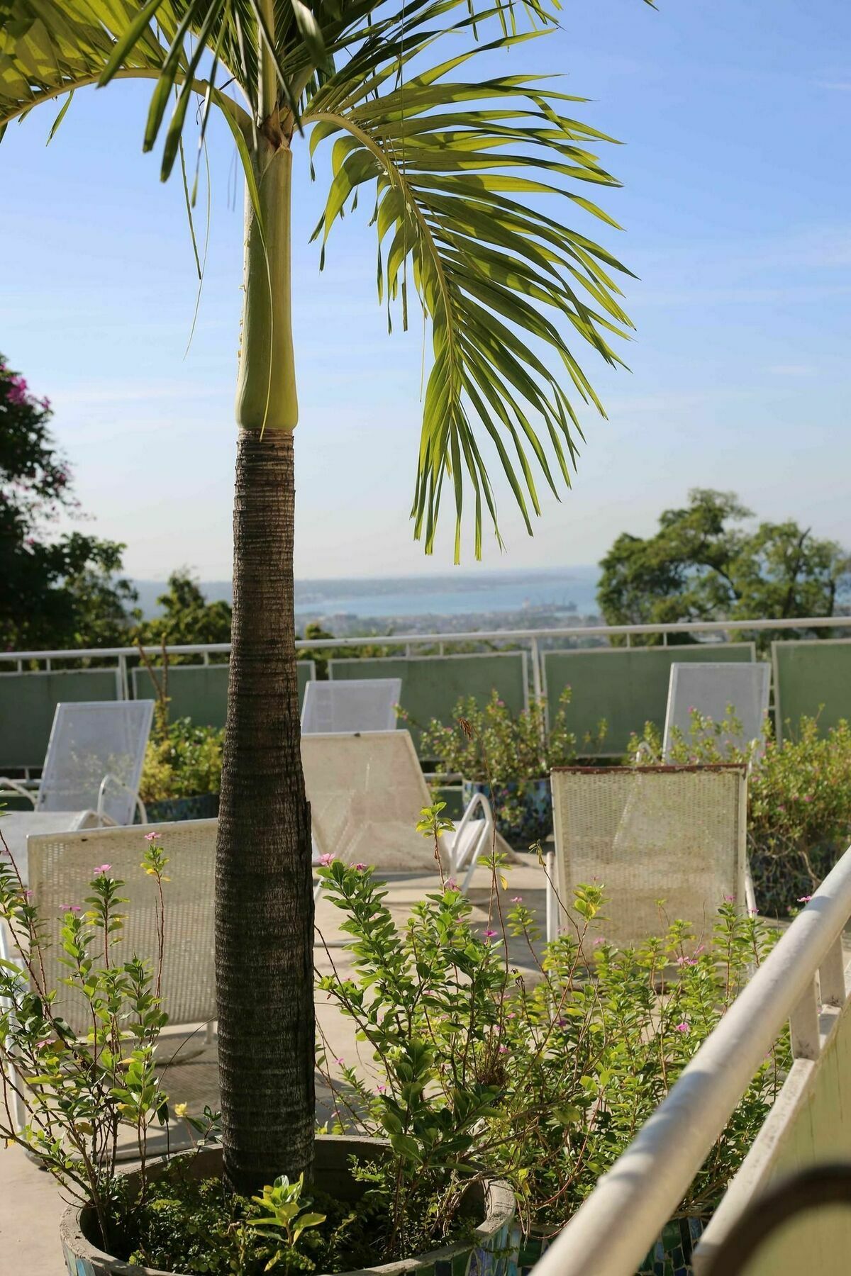Prince Hotel Port-au-Prince Exteriér fotografie